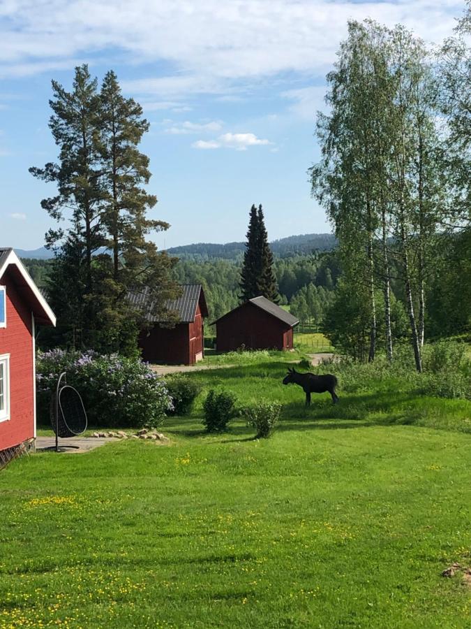 Mysig Timmerstuga Med Braskamin Naera Hovfjaellet Torsby Exterior foto